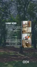 Looking for a female flatmate