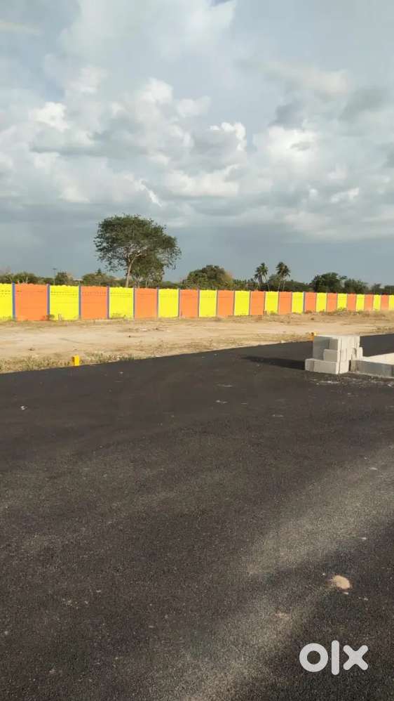 பிரீமியம் வீட்டு மனைகள் அப்ரூவல் பிளாட் புதுக்கோட்டை பைபாஸ் அருகே