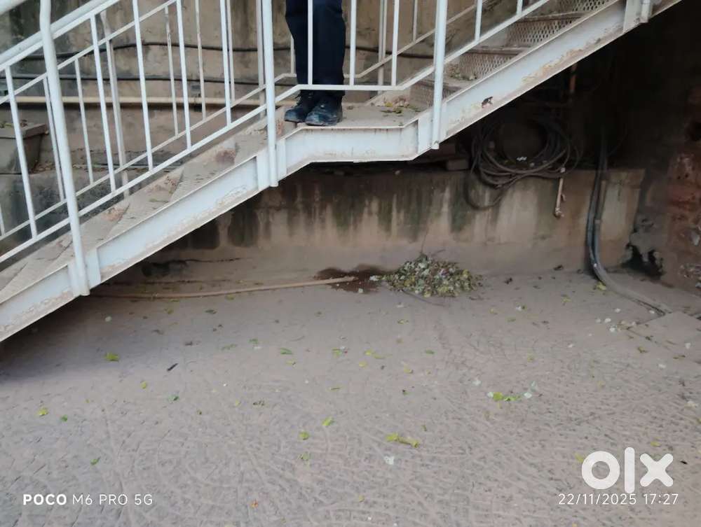 I need sharing room near Yelahanka