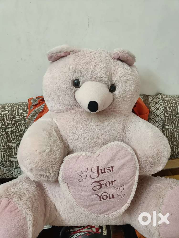 Big Size Teddy Bear for Sale – Excellent Condition