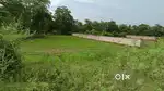 बिलासपुर अकलतरा नेशनल हाईवे NH 49 में 54 डिसमील ज़मीन बेचना है