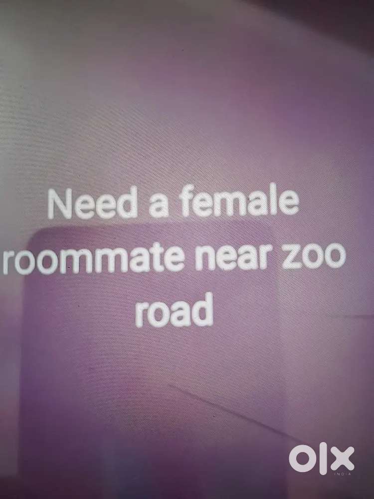 Need a female roommate (student)