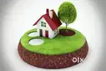Urgent Sale 300 Gaj Plot Suresh Sharma Nagar