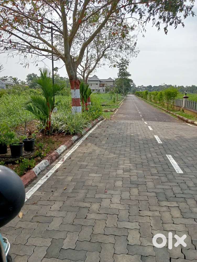 12.5 cent plot (purayidam) near puthiyakavu Thripunithura