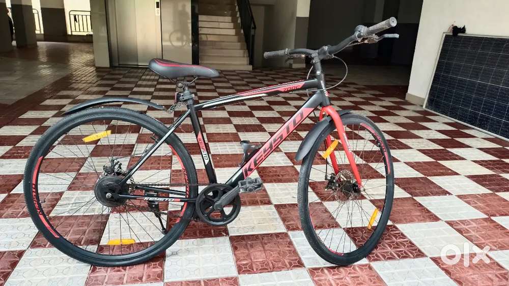 Bicycle without gear