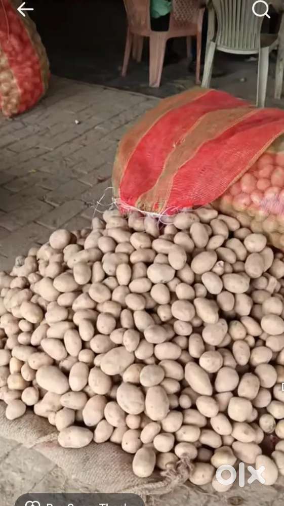 350 रूपये पैकेट आलू शुगर फ्री आलू