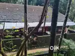 14 cents land for sale