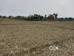 Prime 1 Bigha (5 Katha) Myadhi Land for Sale Near Bokakhat Urgent Sale