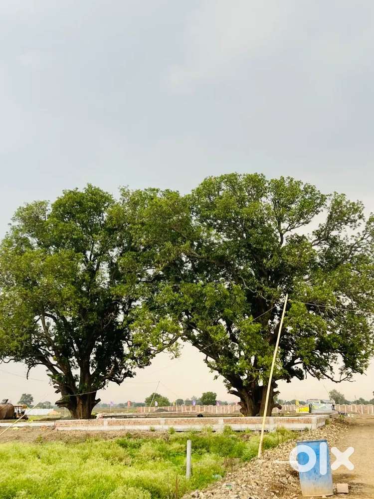 House keeping farm house ke liye