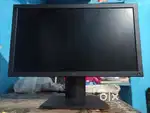 DELL Monitor