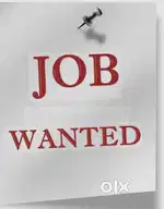 Billing executive & company driver & unloading person,  3 job vacand