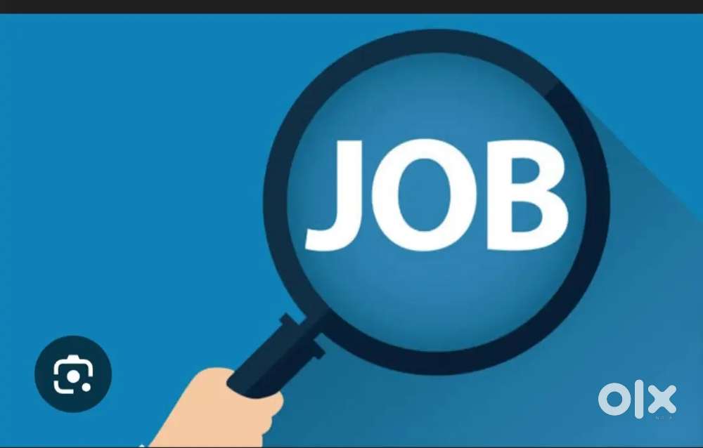 Looking for a babysitter and house cleaner 3 days a week