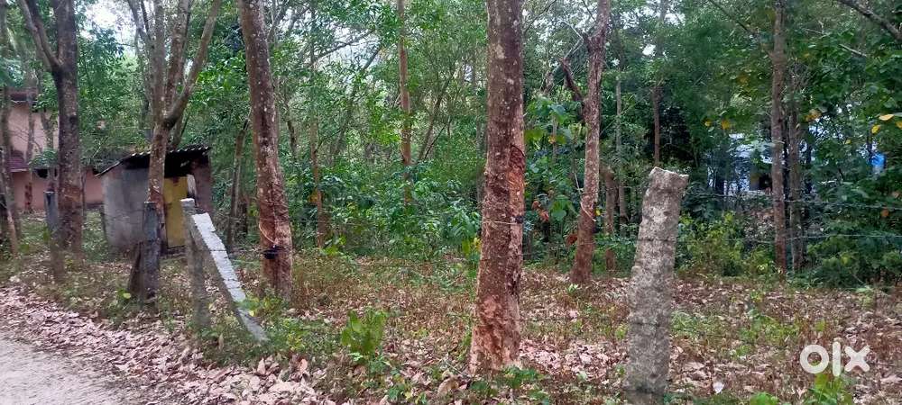 സ്ഥലം വിൽപ്പനയ്ക്ക്