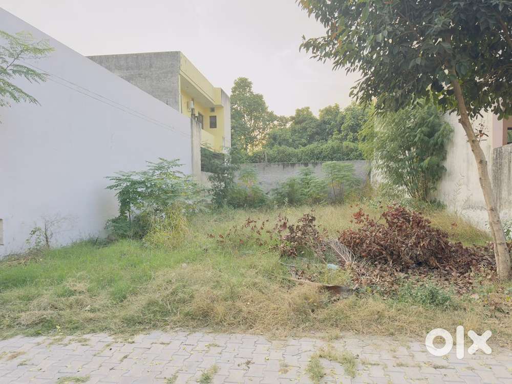 Plot in chinar bagh 305 gajj