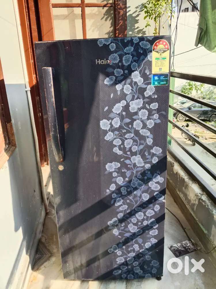 Haire freeze