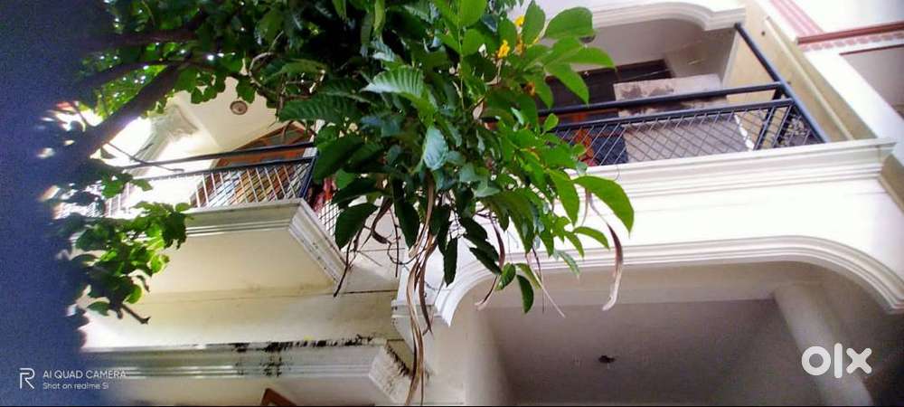 free! free! house for sale