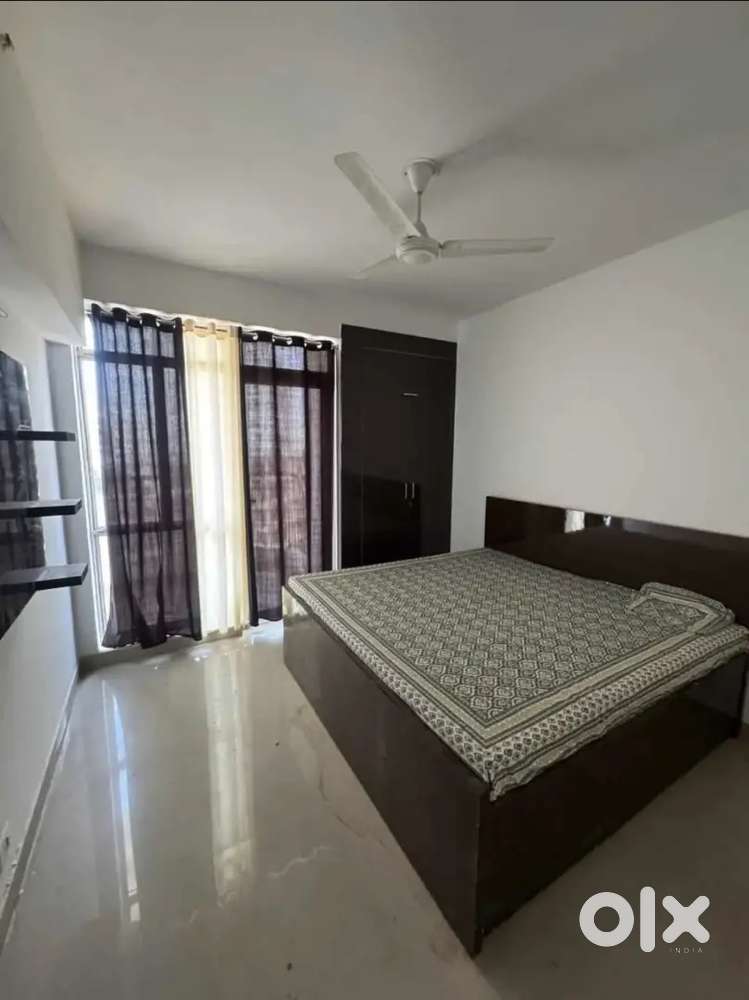 Batchelor Furnish 2BHK Apartment Rajendra Nagar