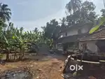 100 cent Land agriculture Aravoor Athani Thrissur