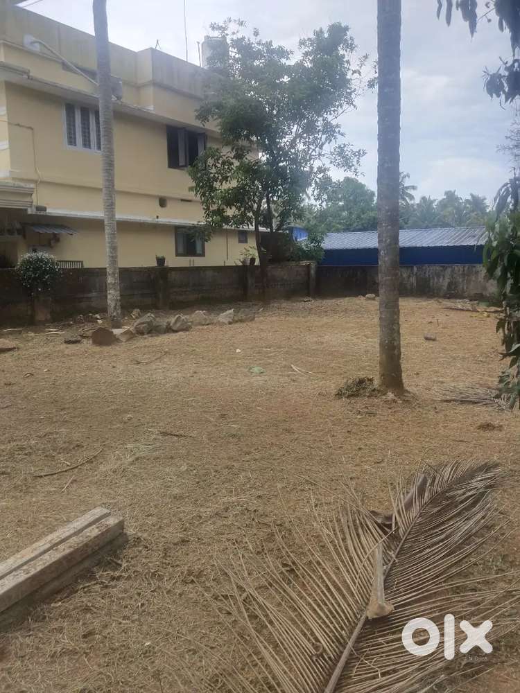 Thrissur mannuthy indiranagar 6 cent plot old house for sale