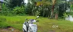 Urgent 10 cents  land for sale in Thuravoor,