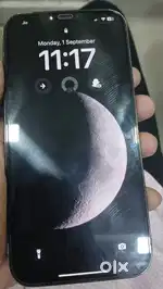 i phone 12 pro max only phone
