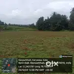 It is a yellow belt land