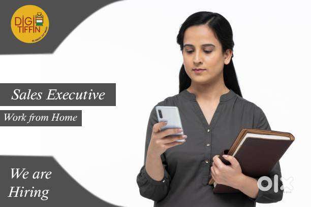 Sales Executive at DigiTiffin (Work From Home)