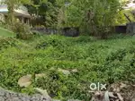 3.5 cent plot sale at kureekkad.