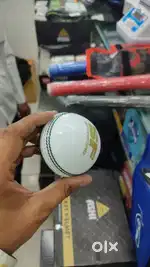 Cricket Coach