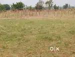 Near Gajwel,15 Guntas agriculture land for sale