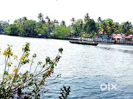 Waterfront land at Koonammav Kochi