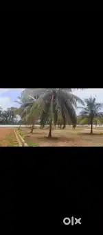 Open plots sales at vempadam