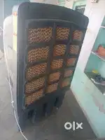1 year old Cooler
