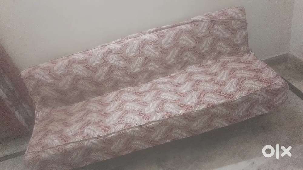 Sofa cum bed & Wooden table