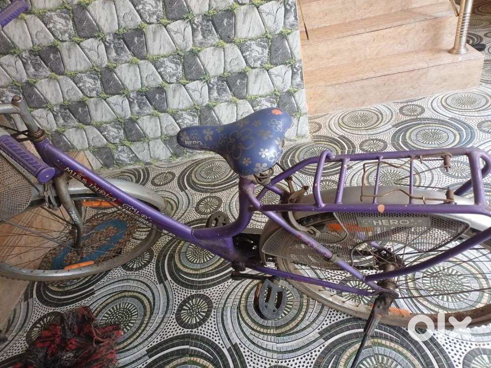 Lady bird by cycle