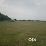 50 Acers land for sale