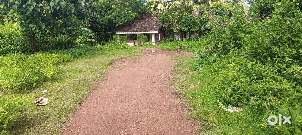 6 Cent Land for sale near manjeswar kerala.