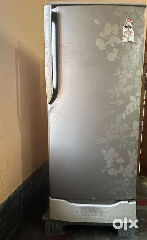 Samsung 185 L, 5 Star, Single Door (Floral Grey)