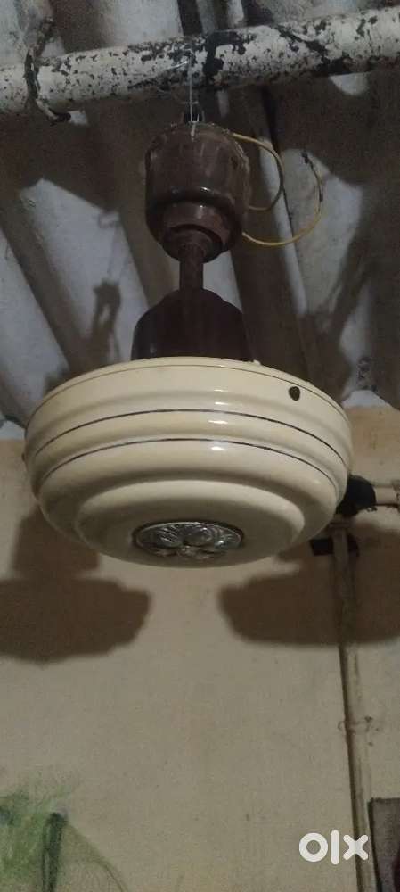 ORIENT ceiling fan  Rs800