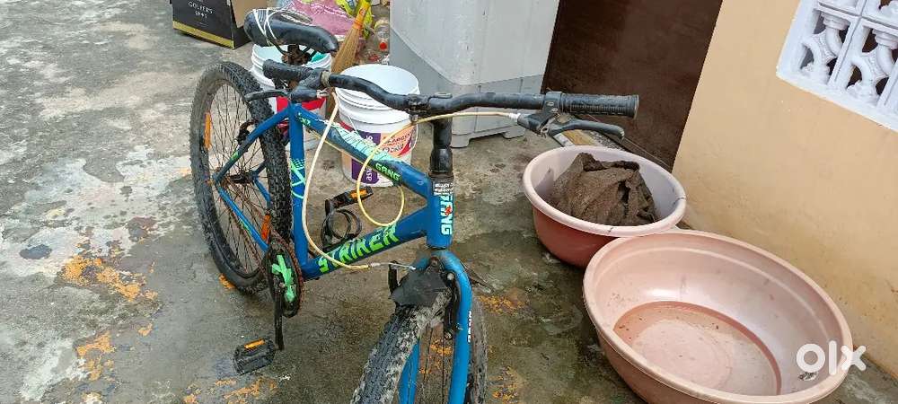 Cycle best