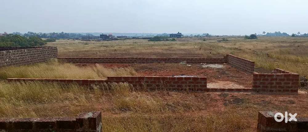 Flat plot area for rent