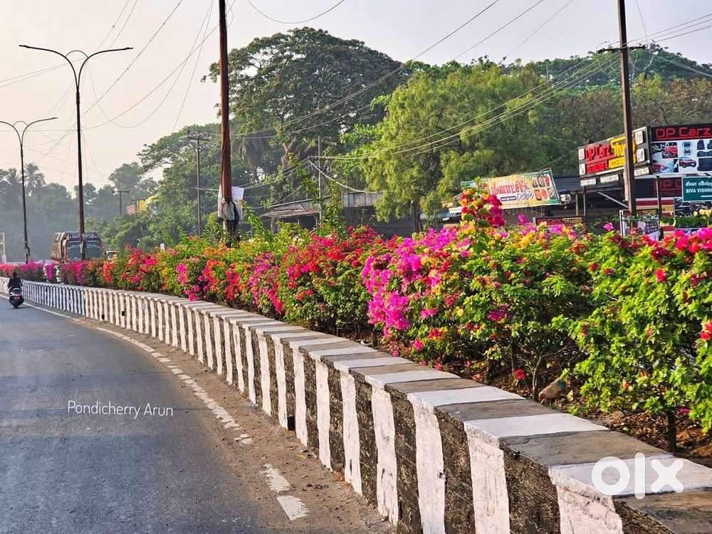 One Bed & one Kitchen without Hall for rent