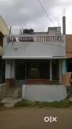 For rent bachilors or family