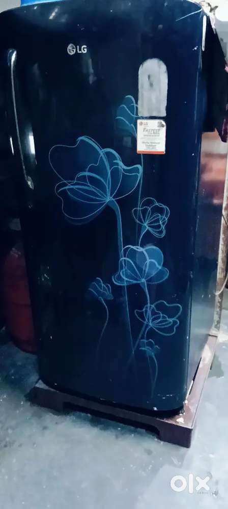 3 years old fridge colour purple medium size