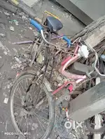 Atlas cycle