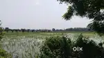 6Acer Farm land nearby Kumhari & Amleshwar