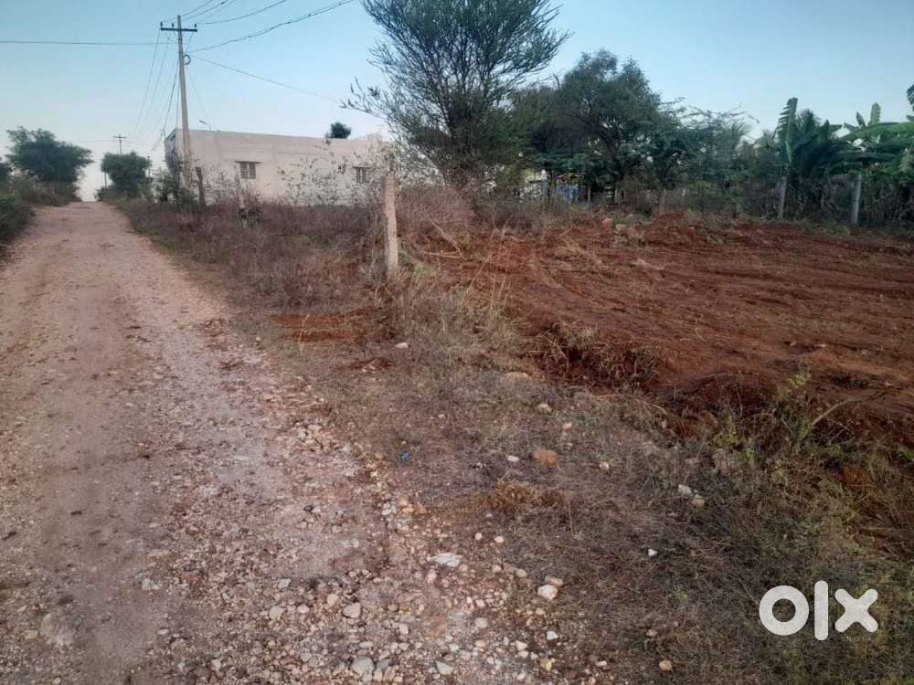 Land for sale - URGENT