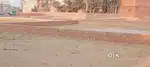 Shivpur Pisaur Bhawanipur