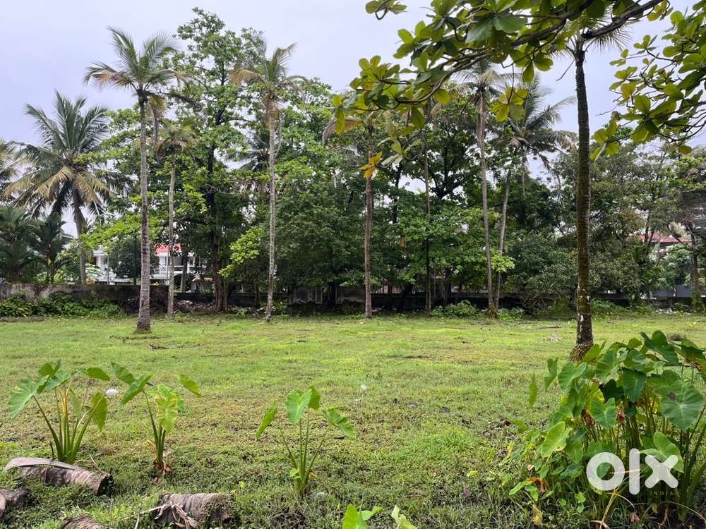 Land sale in vennala