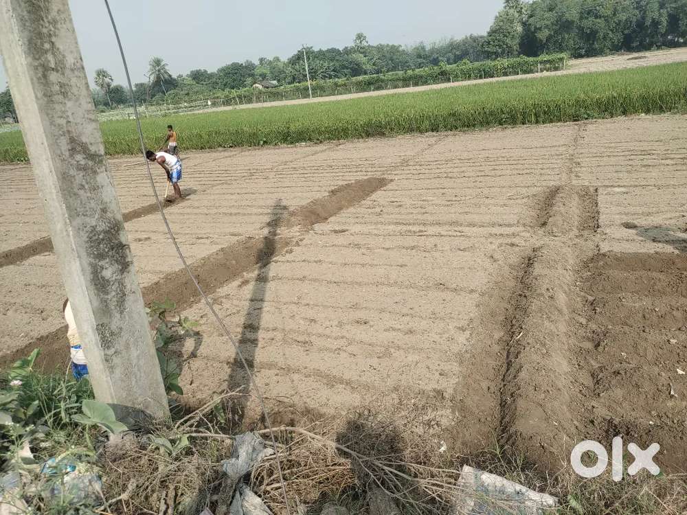 2 khata jamin hai chotki se 20 lakhs rupee per khata hai Jamin ka rate